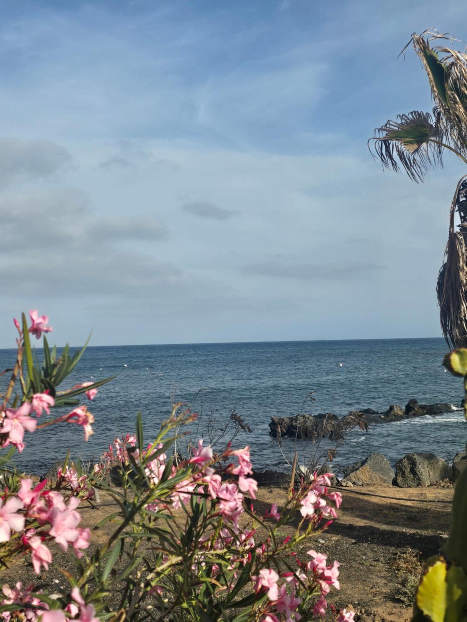 Casa Leiva Villa Punta Mujeres Bagian luar foto